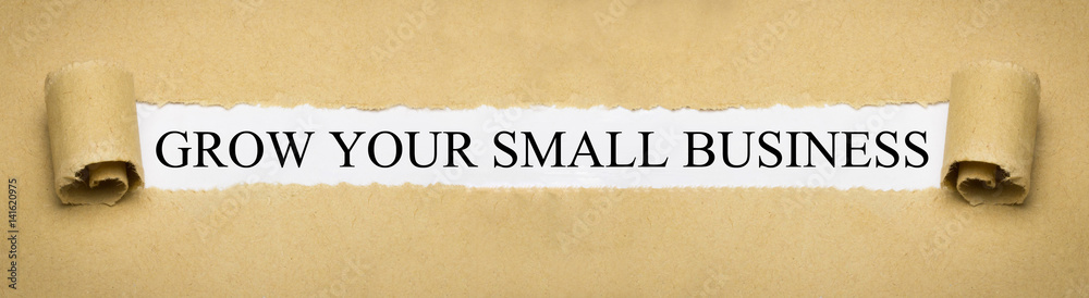 Grow your small Business