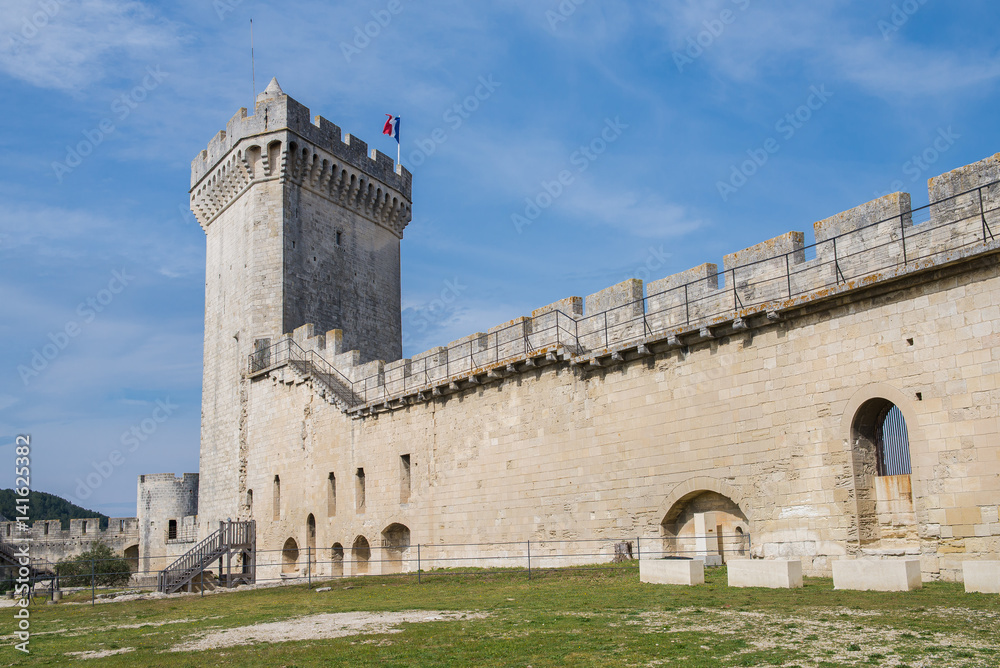 Beaucaire, in the Gard, France, the castle