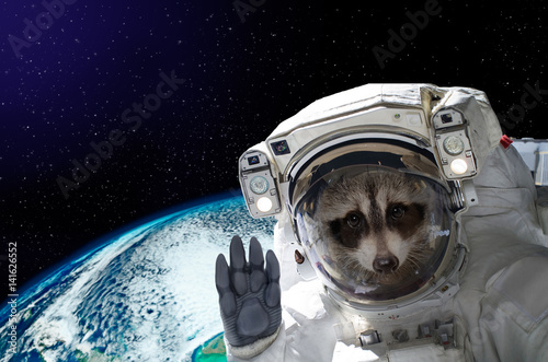 Portrait of a raccoon astronaut in space on background of the globe. Elements of this image furnished by NASA.
