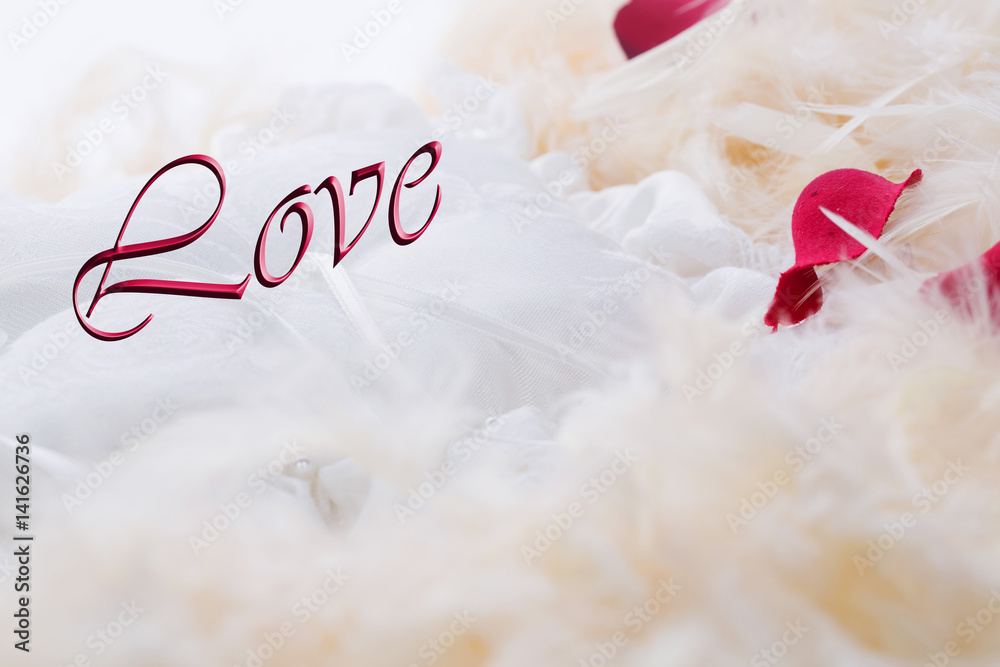 Background Love con piume bianche di struzzo