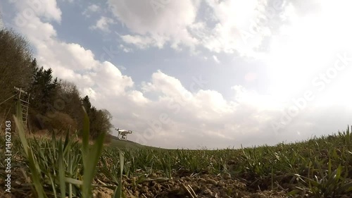 Drone flight over wheat field. Young seedlings in brown soil. New tool for farmers use drones to inspect of cultivated fields. Modern technology in agriculture.  photo