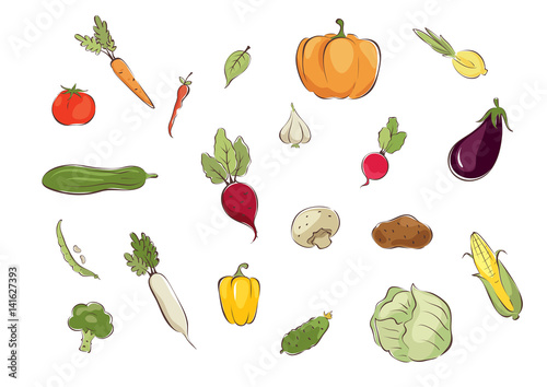 Collection pictures -- vegetables / Set graphic vector illustrations with different vegetables