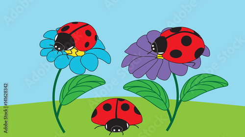 Two ladybugs sit on flowers and one ladybird crawls on the ground.