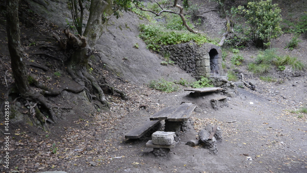 The place for a picnic is located in the forest on the island of Tenerife, Spain. The place for a picnic is located in the forest on the island of Tenerife, Spain.