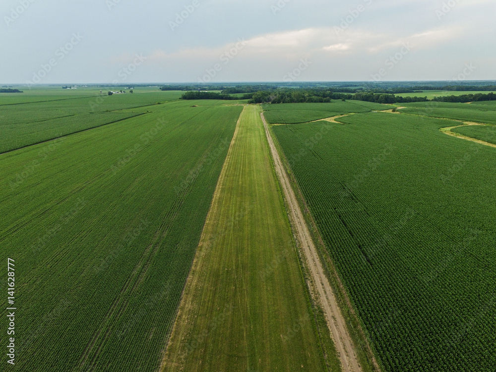 Obraz premium Down on the farm