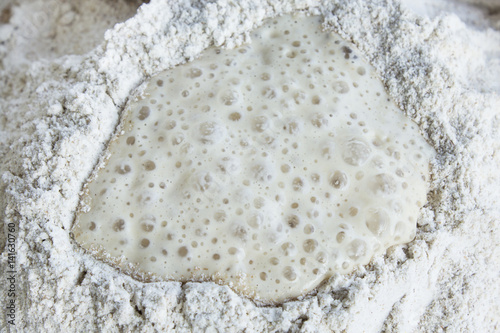 Yeast Fermented and Whole Wheat Flour
