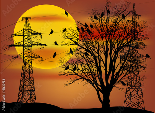 electric pylons and bare tree with small birds at sunset