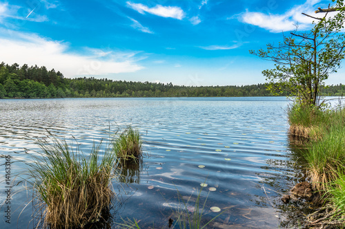 Fototapeta Naklejka Na Ścianę i Meble -  Sunny summer landscape of lake in the forest