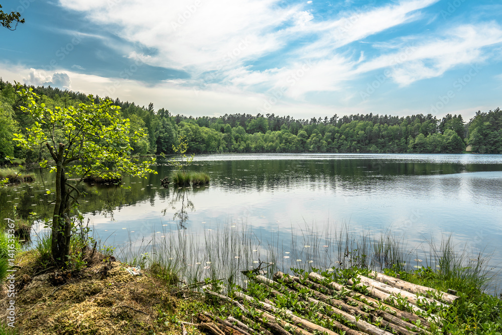 Sunny summer landscape of lake in the forest Sunny summer landscape of lake in the forest