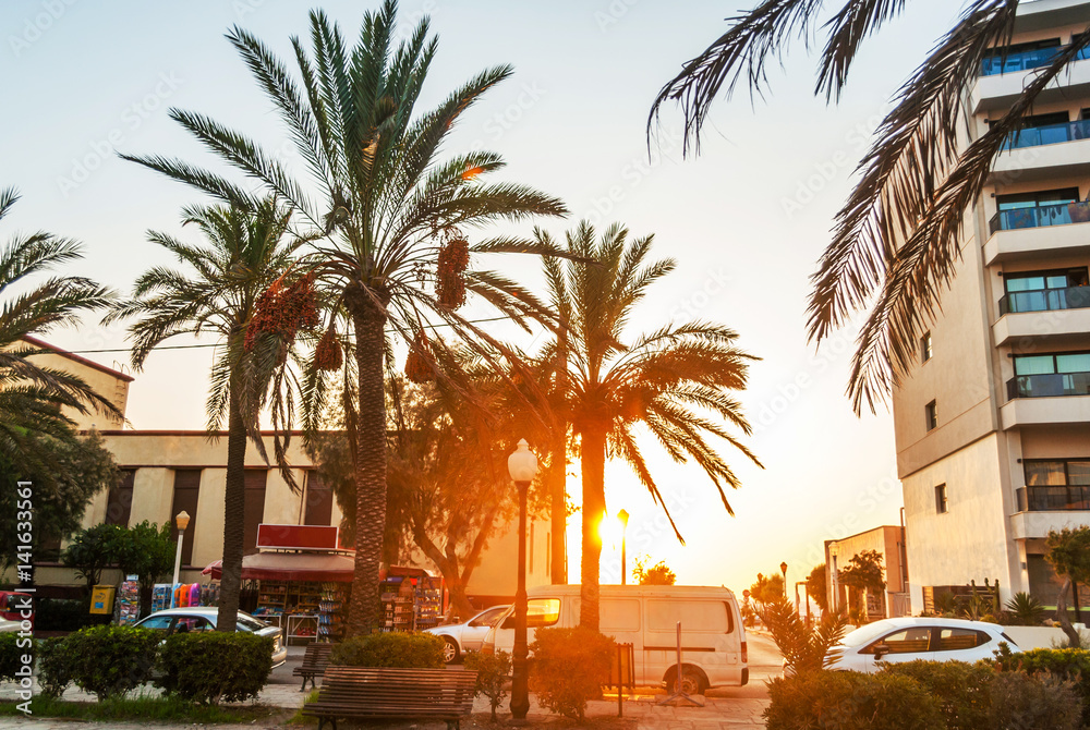 Rhodes Town, with streets and hotels that are located near the sea, tall palm trees and sunset provide a warm atmosphere photo.