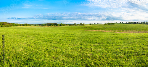 Green field and blue sky  panoramic view of meadow with fresh grass