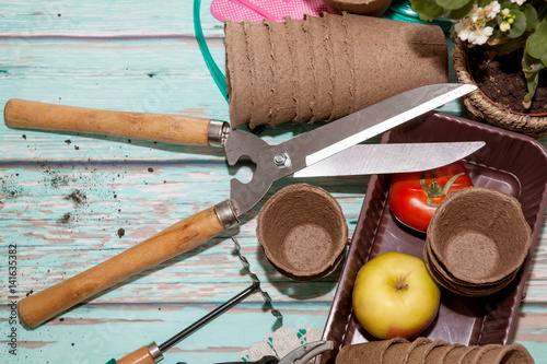 A lot of garden accessories on a wooden background photo