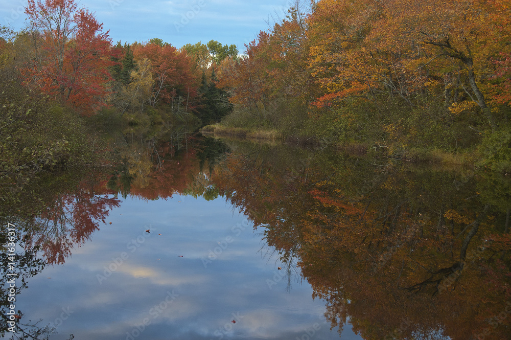 Colorful autumn trees reflected in a Maine stream Colorful autumn trees reflected in a Maine stream