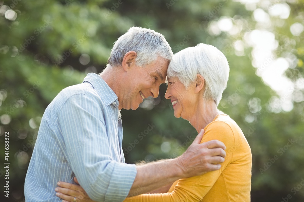 Obraz premium Happy senior couple in park