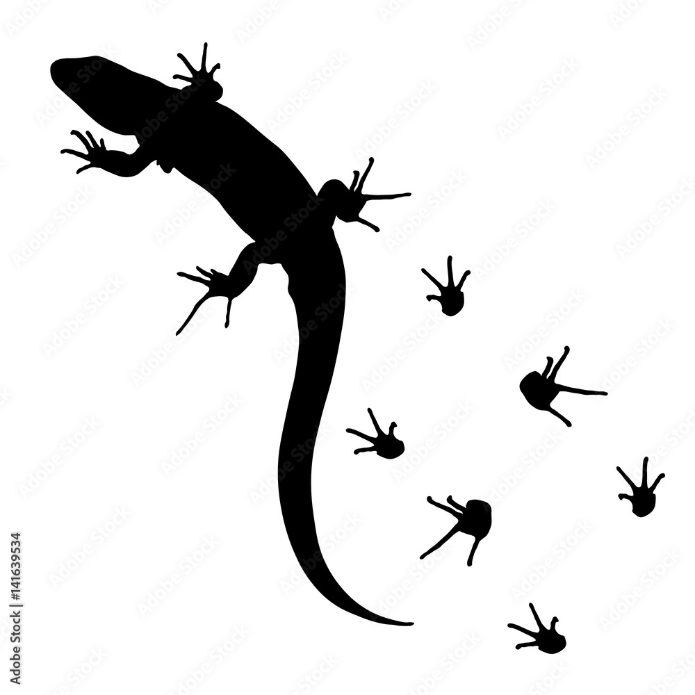 Fototapeta premium lizard and footprints silhouette vector