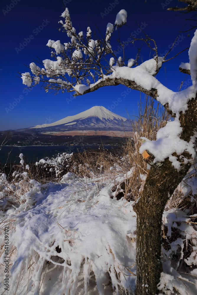 山中湖大平山からの雪景色の富士山stock Photo Adobe Stock