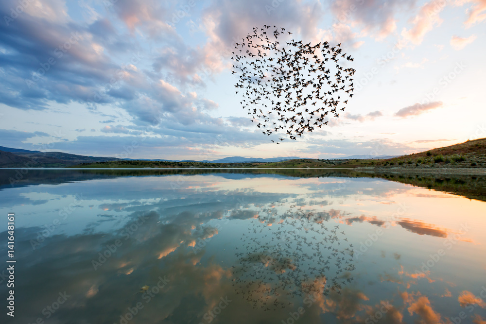 Fototapeta premium Silhouettes of flying flock birds (in shape of heart) against clouds