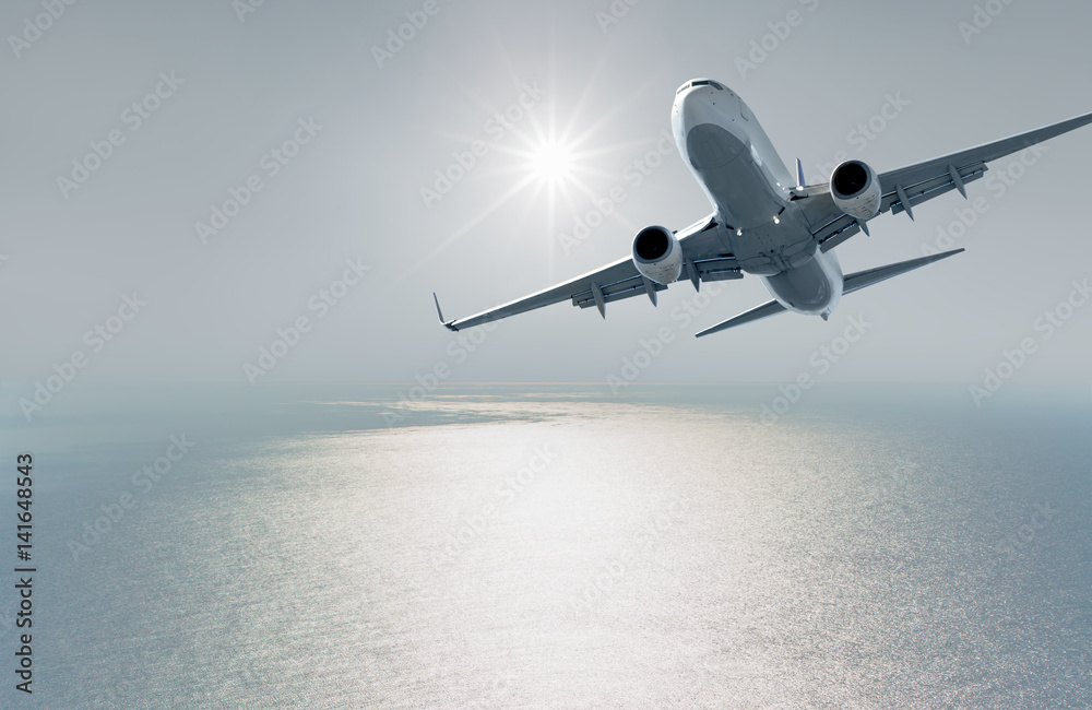 Fototapeta premium Airplane in the sky at sunset