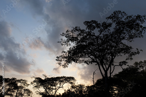 Kenya Africa