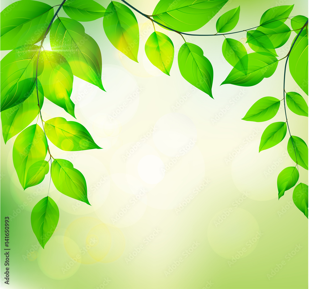 Background of green leaves, summer or spring season. Vector illustration.EPS10