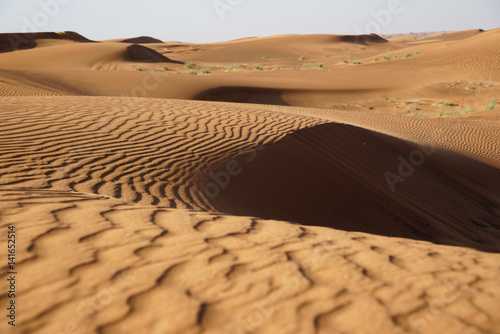 Dubai Desert