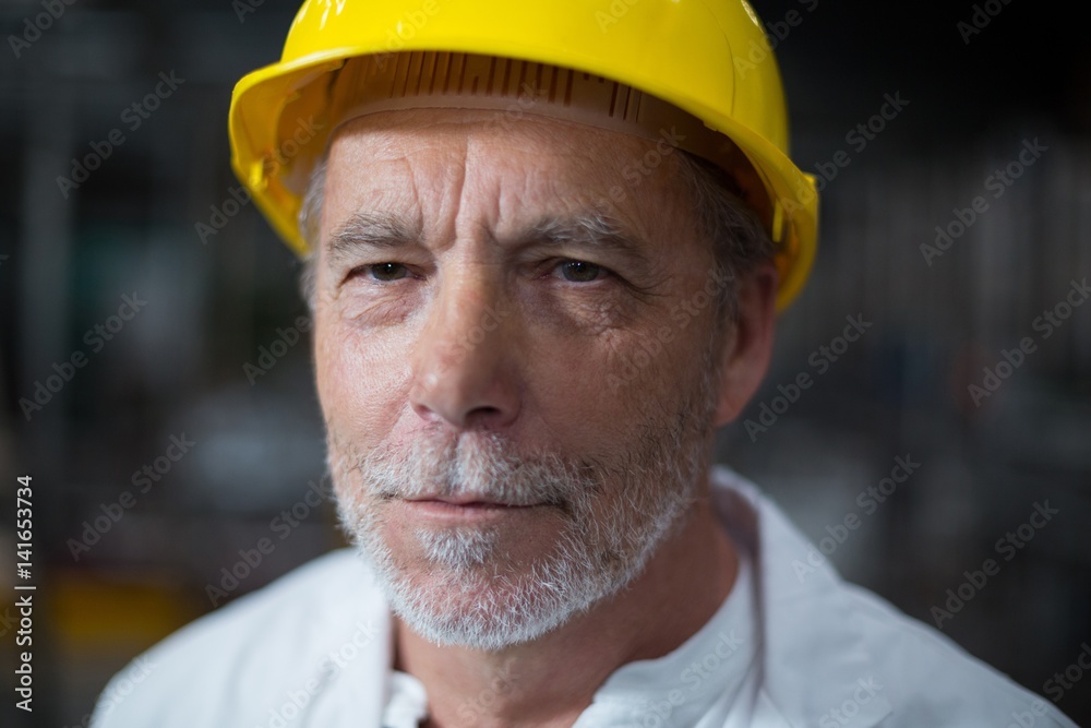 Portrait of confident factory worker