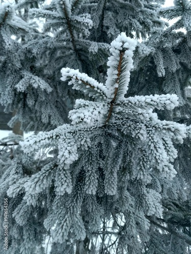 winter