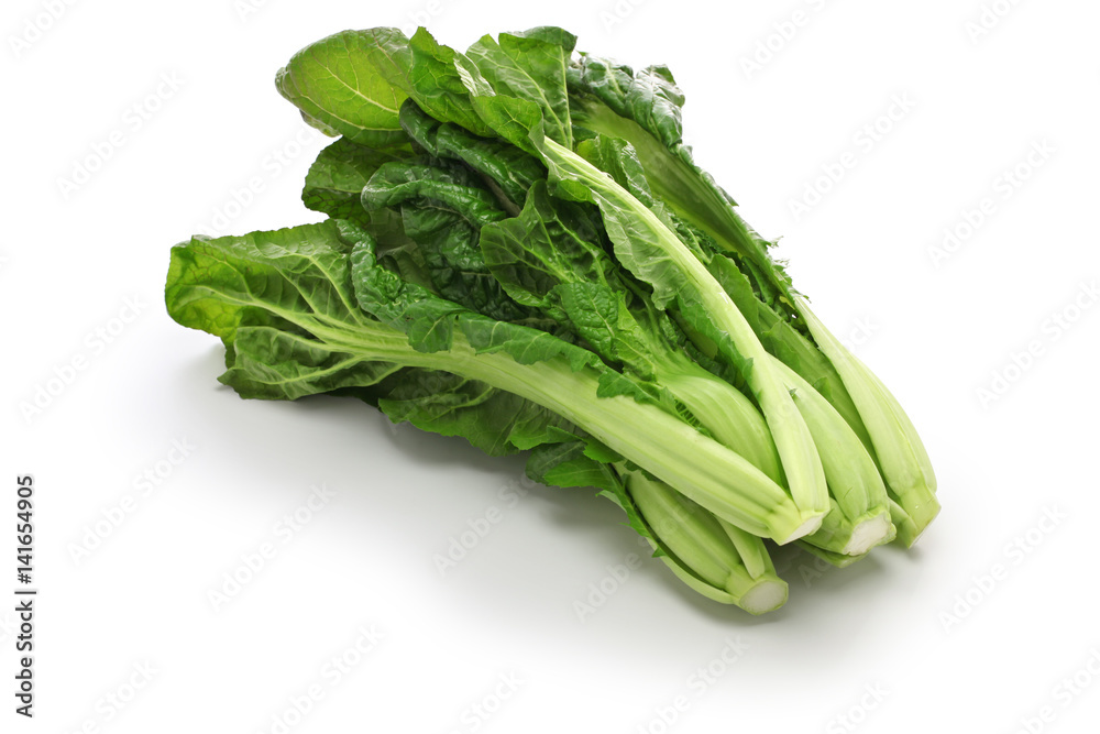 japanese takana, brassica juncea var. integrifolia japanese takana, brassica juncea var. integrifolia