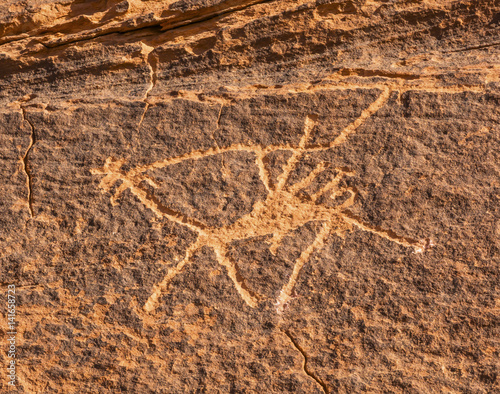 Fotografie Camel Petroglyph Valley of Moon Wadi Rum Jordan