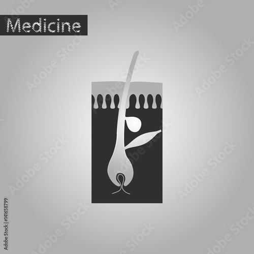 black and white style icon of hair follicles