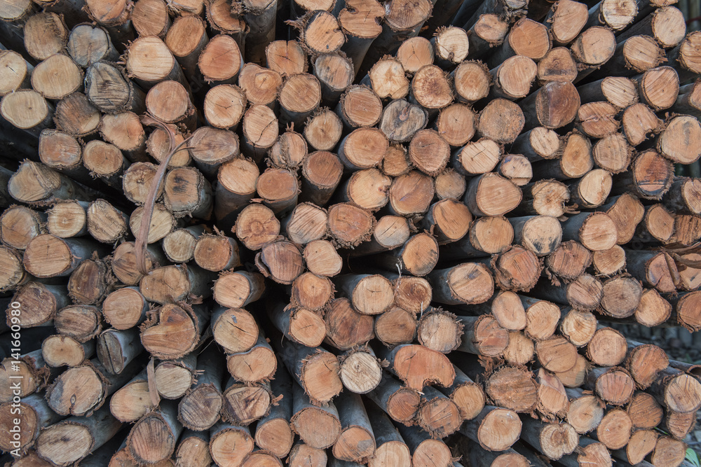 stack of wood trunk. stack of wood trunk.