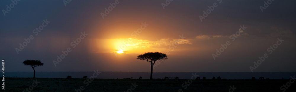 Kenya Africa