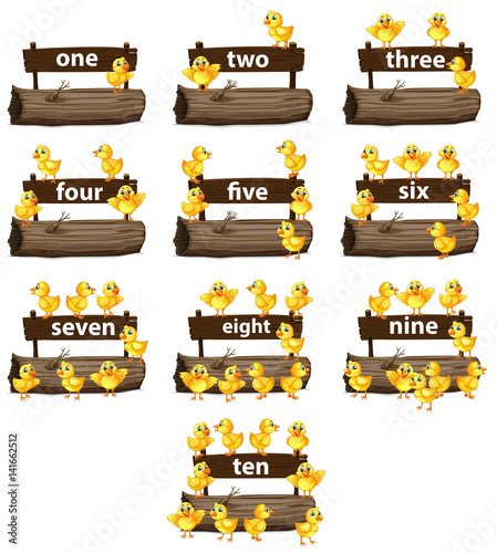 Counting numbers with little chicks