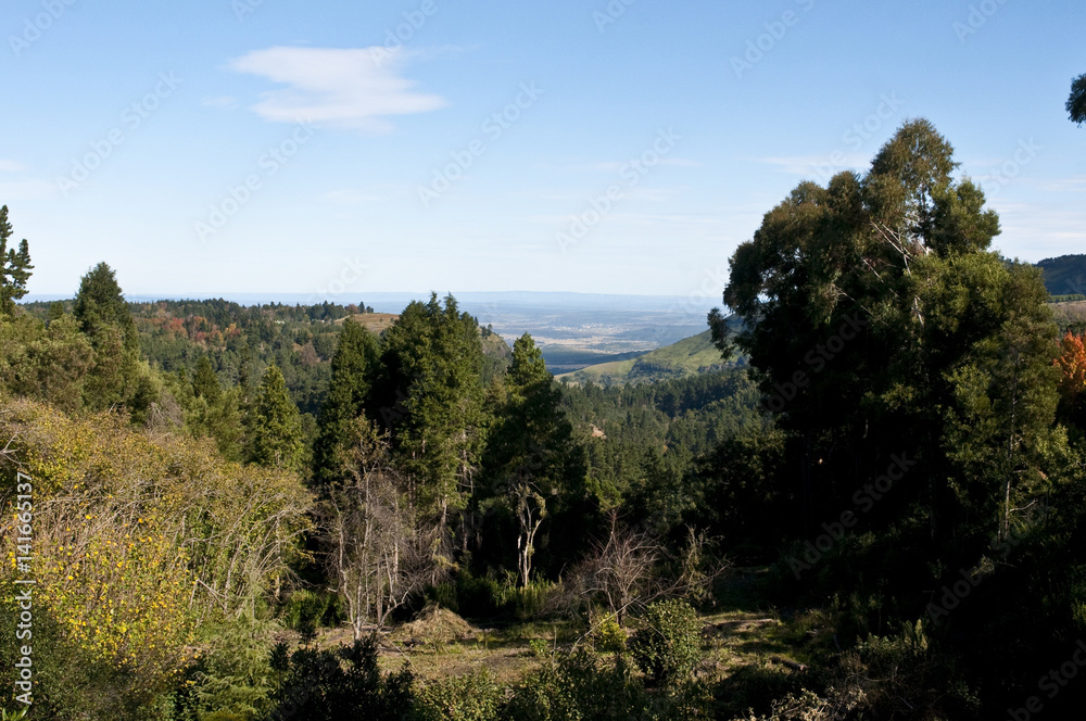 Hogsback mountain Eastern cape South Africa