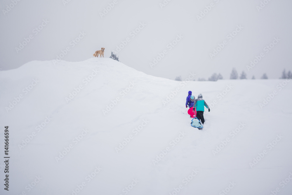 Rear view of girls carrying sleds while walking on snow covered field