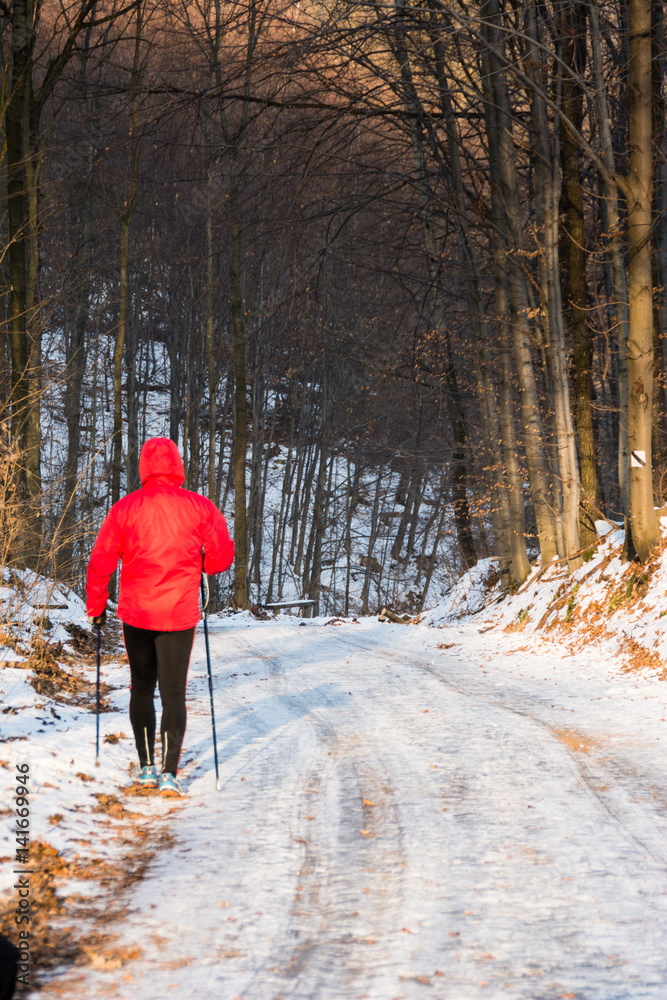 Leśna ścieżka do Nordic Walking zimą.