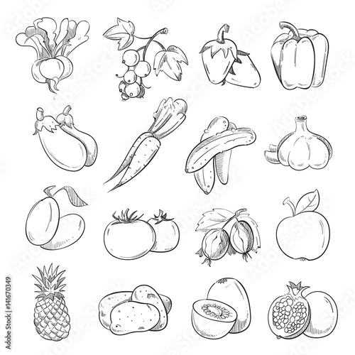 Doodles of vegetables and fruits, hand drawing vegan cooking food icons