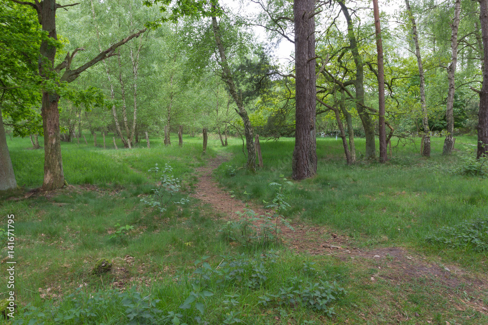 Fototapeta premium Holmer Sandberge, Geotop