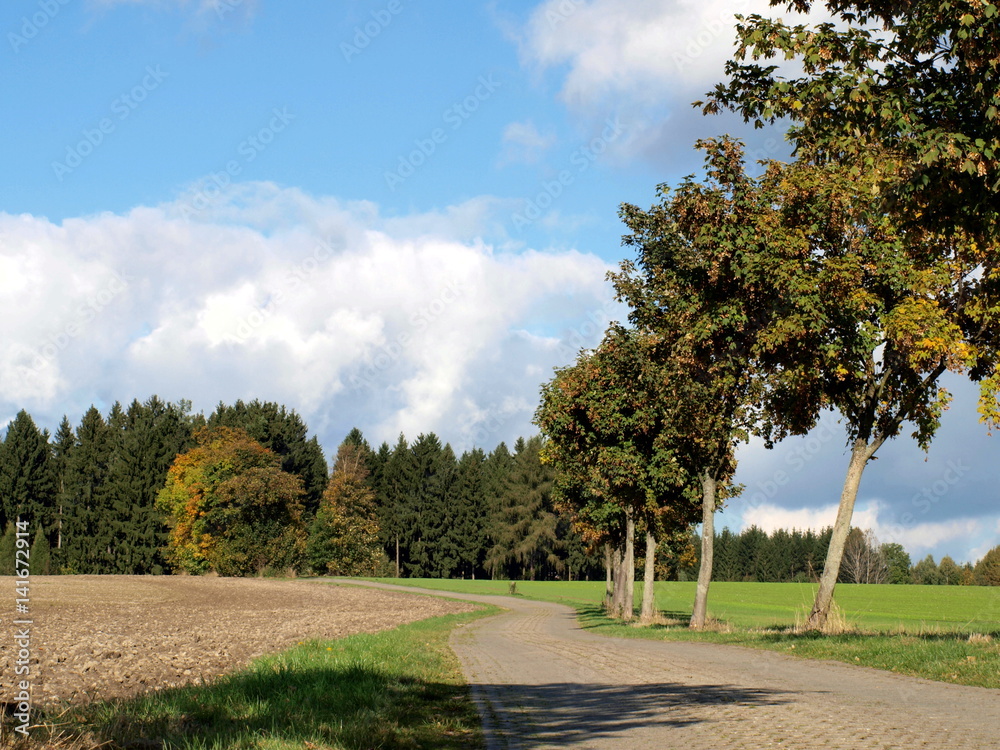 Aussicht in Natur