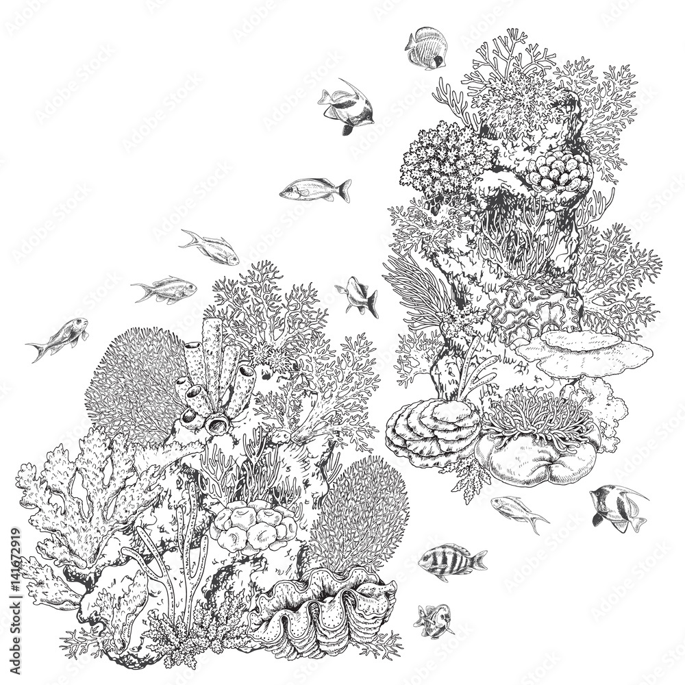 Naklejka premium Reef Corals and Fishes