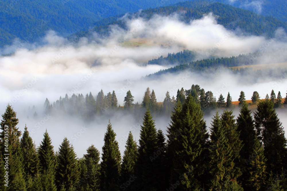 Obraz premium Wiosenne Mgliste Pieniny