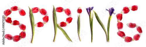 Title Spring from beauteous pink tulips.