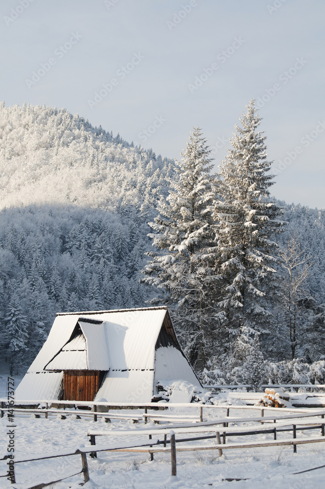 Fototapeta premium giewont