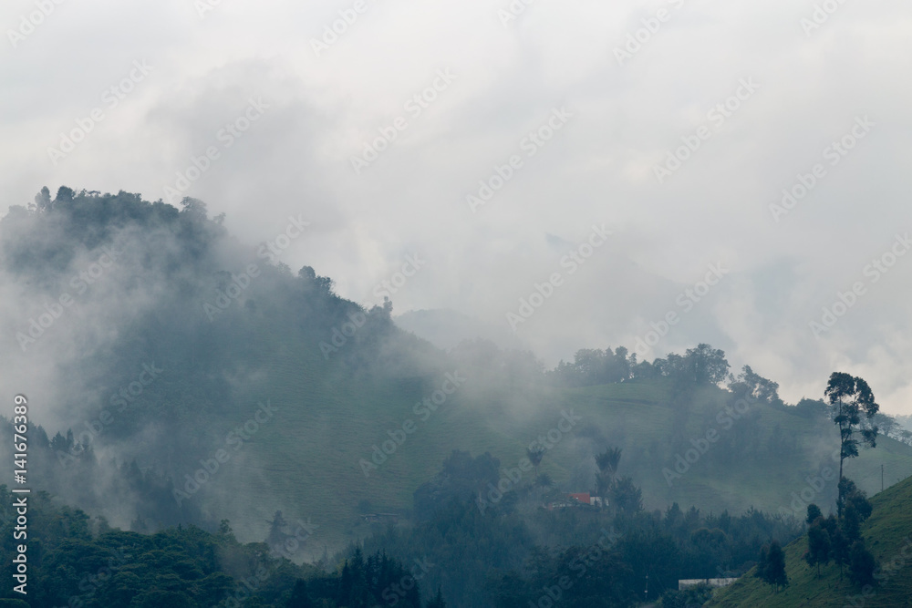 Mist in the cloud forest at the Recinto del Pensamiento nature reserve near Manizales, Colombia.