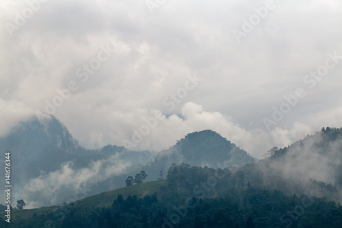 Dramatic clouds swirl through the cloud forest at the Recinto del Pensamiento nature reserve near Manizales, Colombia.