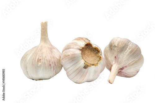 garlic on white background