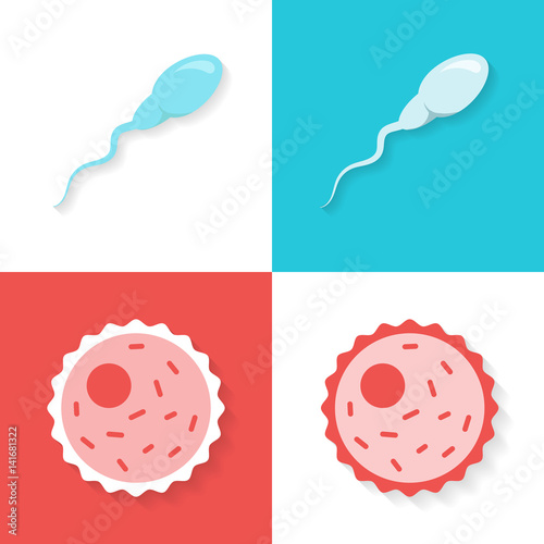 Sperm and ovum or egg set in a flat style isolated on a white or colored background.