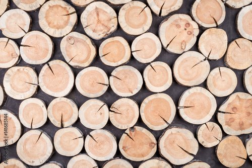 Horizontal background of wood logs of different sizes
