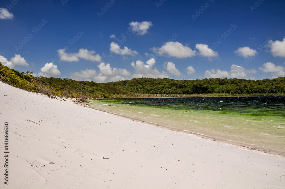 Stunning view of Lake Birrabeen on Fraser Island, Queensland, Australia, located in the Great Sandy National Park. White sand composed of pure, white silica. Trees in background. Clear water.