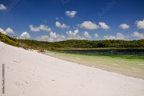 Stunning view of Lake Birrabeen on Fraser Island  Queensland  Australia  located in the Great Sandy National Park. White sand composed of pure  white silica. Trees in background. Clear water.